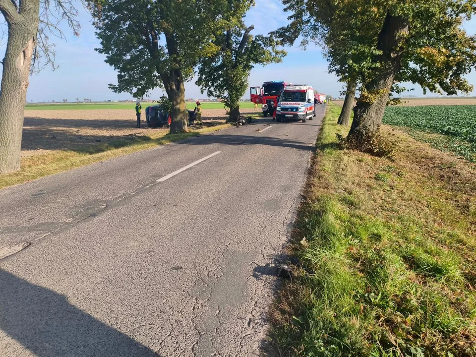 Wypadek drogowy na trasie Czajkowo - Aleksandrowo