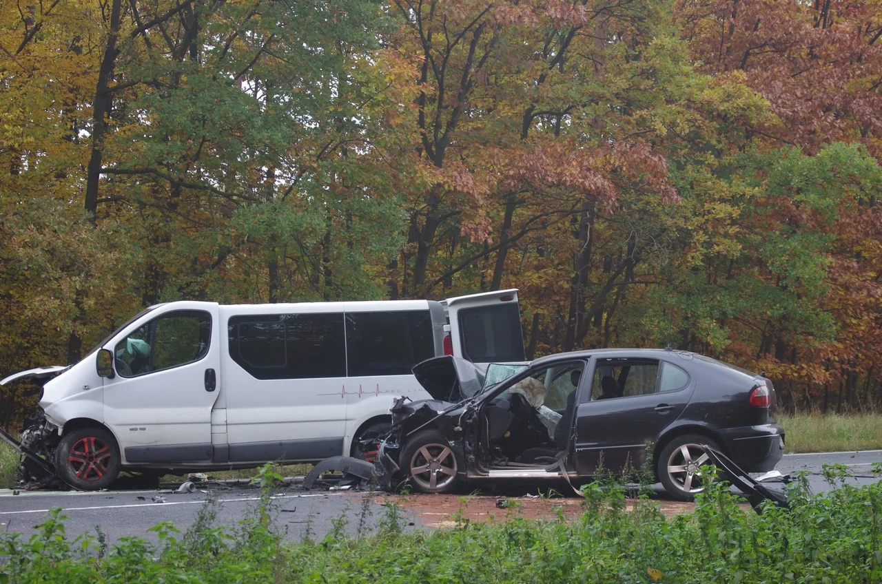 Wypadek na DK12 w Gołuchowie