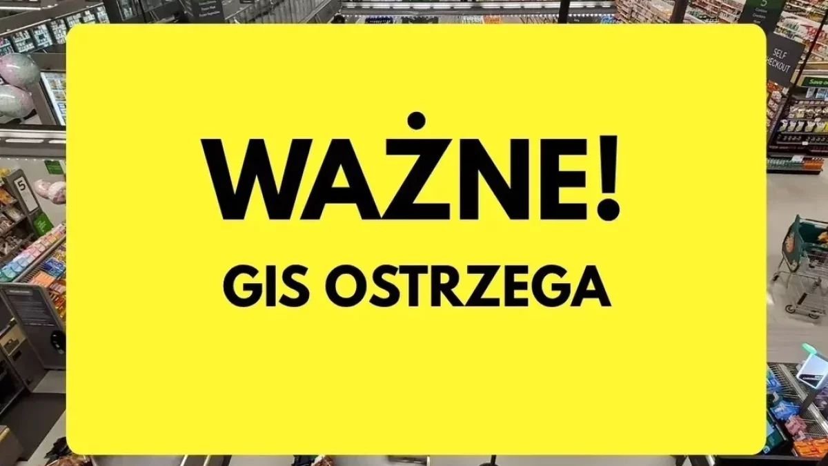 Groźna bakteria w popularnym serze. Produkt wycofano ze sklepów