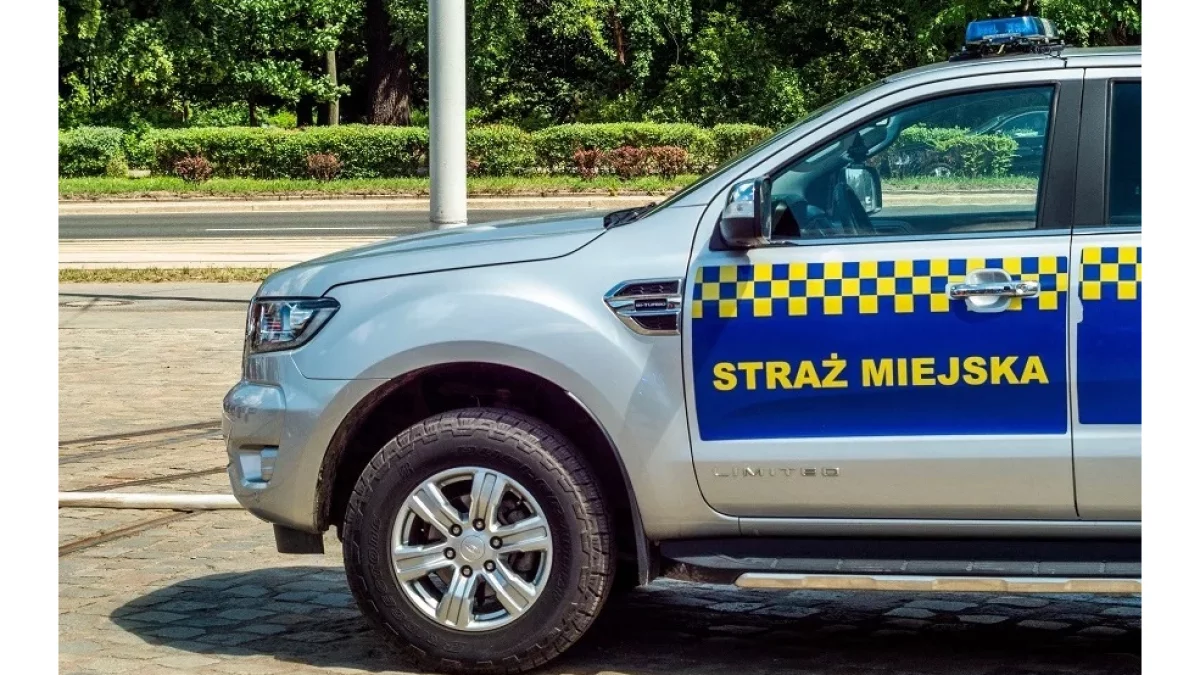 Nowe uprawnienia straży miejskiej. Za te wykroczenia możesz dostać choćby 3000 zł mandatu
